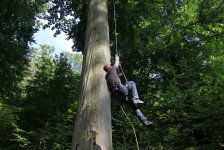 53_gc_stammtisch_22_20150506